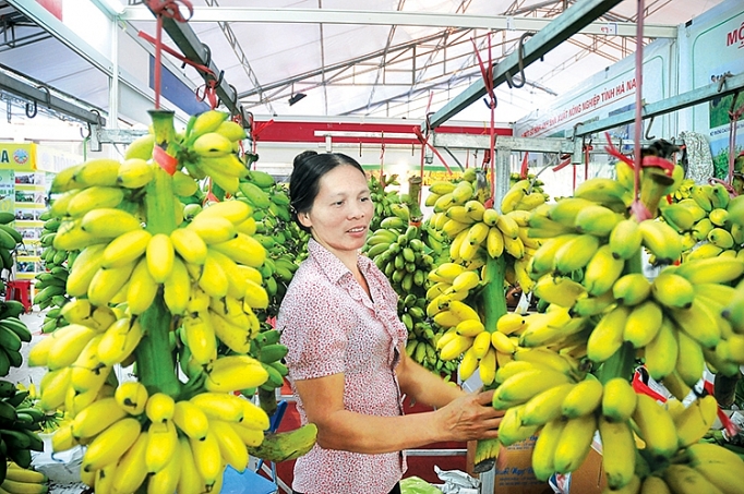 Nông sản Việt: Để chắc chân ở thị trường Trung Quốc nong san viet de chac chan o thi truong trung quoc