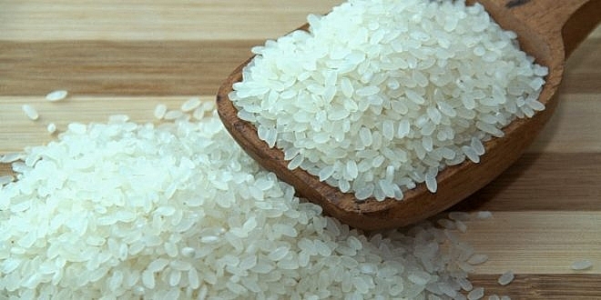 Tình hình trao đổi thương mại Việt Nam-Senegal năm 2019 tinh hinh trao doi thuong mai viet nam senegal nam 2019