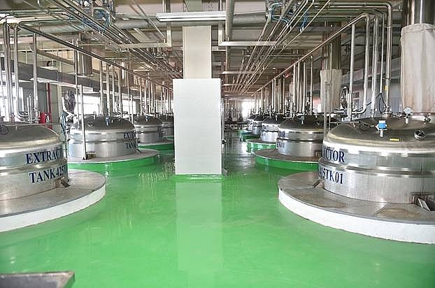 Khám phá quy trình sản xuất Trà Dr Thanh giúp tăng cường hệ miễn dịch kham pha quy trinh san xuat tra dr thanh giup tang cuong he mien dich