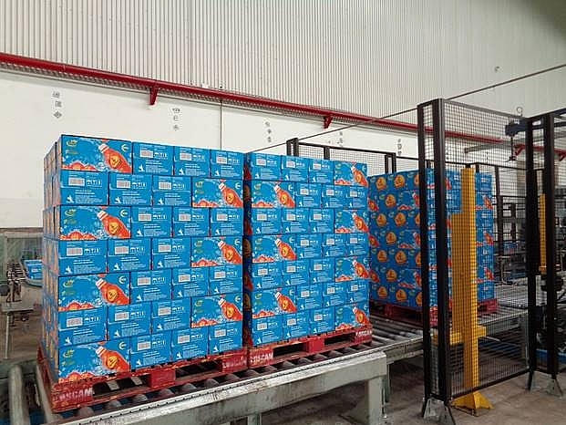 Khám phá quy trình sản xuất Trà Dr Thanh giúp tăng cường hệ miễn dịch kham pha quy trinh san xuat tra dr thanh giup tang cuong he mien dich