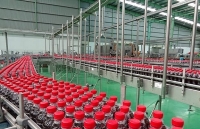 Khám phá quy trình sản xuất Trà Dr Thanh giúp tăng cường sức khỏe