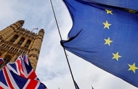 Covid-19 liệu có dập tắt đàm phán hậu Brexit hay không?