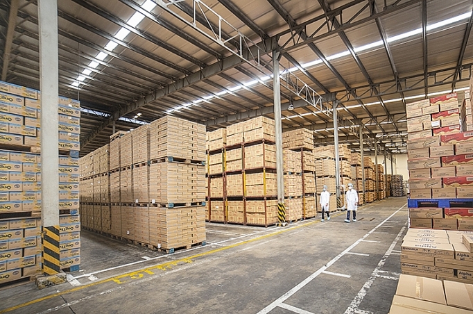 Vinamilk đưa sữa ÔngThọ sang Trung Quốc giữa đại dịch Covid vinamilk dua sua ongtho sang trung quoc giua dai dich covid