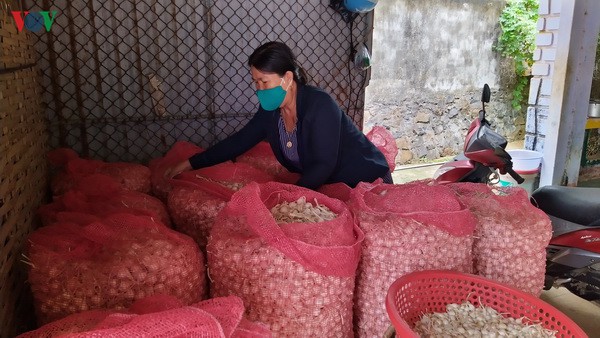 toi ly son lien tuc rot gia vi covid 19