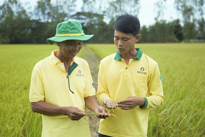 dam ca mau dong hanh cung nong dan tren tung manh vuon thua ruong