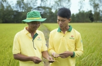 Đạm Cà Mau: Đồng hành cùng nông dân trên từng mảnh vườn, thửa ruộng