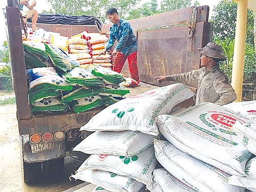 Supe Lâm Thao: Hỗ trợ hàng loạt địa phương mua phân bón trả chậm supe lam thao ho tro hang loat dia phuong mua phan bon tra cham