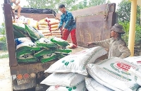 Supe Lâm Thao: Hỗ trợ hàng loạt địa phương mua phân bón trả chậm