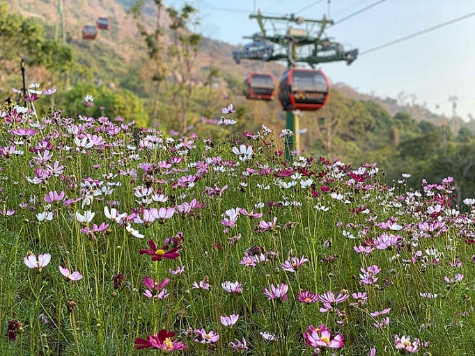 Du khách thích thú khám phá khu du lịch Núi Bà Đen ngày đầu mở cửa trở lại du khach thich thu kham pha khu du lich nui ba den ngay dau mo cua tro lai