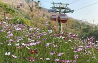 Du khách thích thú khám phá khu du lịch Núi Bà Đen ngày đầu mở cửa trở lại