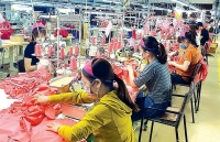 Niềm tin vào quyết sách lớn