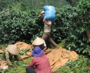 Những đề xuất đáng lưu tâm