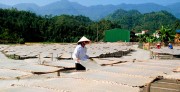 Miến dong Triệu Thị Tá được ưa chuộng