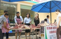 Công tác kiểm tra an toàn thực phẩm tại Hải Phòng: Chủ động, thường xuyên