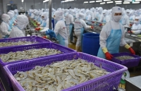 Xuất khẩu thủy sản: Triển vọng từ thị trường Trung Quốc