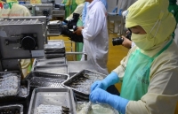 Cơ hội xuất khẩu tôm nước lợ sau dịch Covid-19 là rất lớn