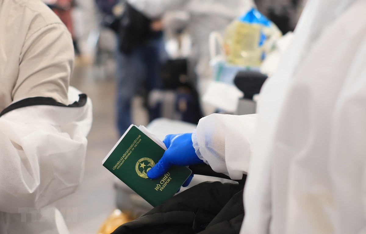 dua gan 340 cong dan viet nam tu an do ve nuoc an toan