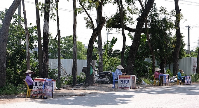 bao hiem xe may bat buoc loan gia