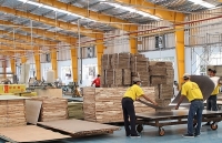 Triển khai thực thi Hiệp định EVFTA: 5 nhóm công tác trọng tâm