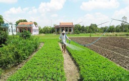 le thuy quang binh som ve dich nong thon moi