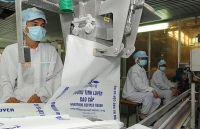 Ngành mía đường trước ngưỡng cửa ATIGA: Cạnh tranh khốc liệt