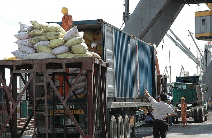 Xuất khẩu gạo: Gam màu sáng của bức tranh kinh tế xuat khau gao gam mau sang cua buc tranh kinh te
