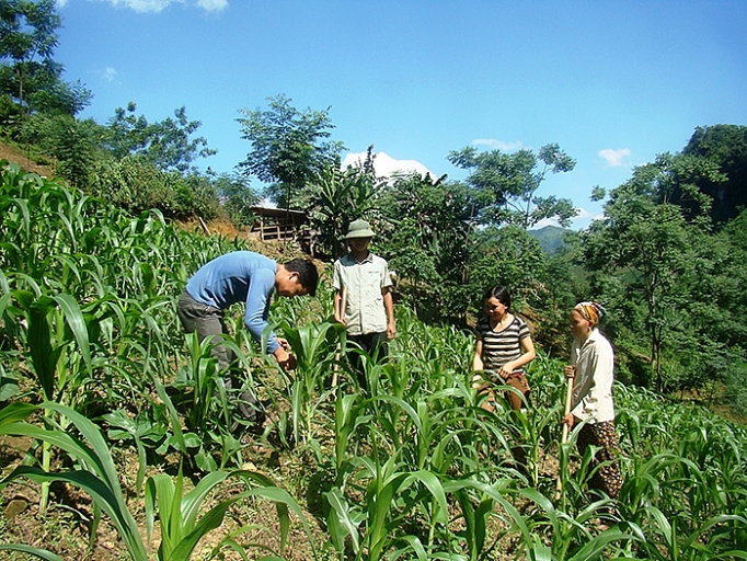 Bố trí nguồn vốn hỗ trợ dân tộc ít người bo tri nguon von ho tro dan toc it nguoi