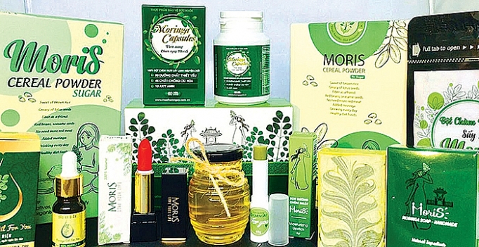 khoi nghiep tu cay chum ngay