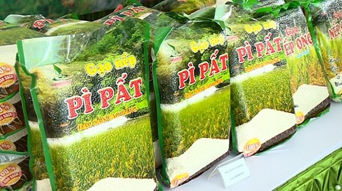 mo hinh lien ket giup tang hieu qua tieu thu nong san