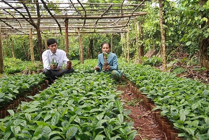 Đường 9 - Khe Sanh: "Ai hay đất lửa máu nồng đơm hoa" ai hay dat lua mau nong dom hoa