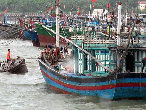 bac va trung bo chu dong ung pho voi atnd bao dau mua 2019
