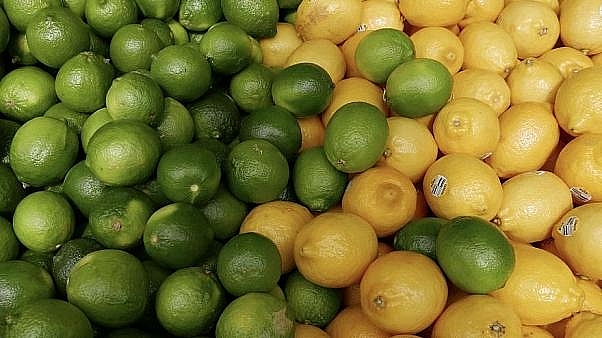 fta eu mercosur co phai la moi de doa doi voi nong nghiep chau au