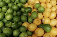 FTA EU-Mercosur có phải là mối đe dọa đối với nông nghiệp châu Âu?