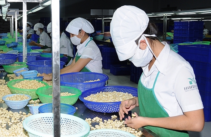 Để nông sản thâm nhập vào EU: Biết mình, biết người de nong san tham nhap vao eu biet minh biet nguoi