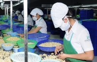 Để nông sản thâm nhập vào EU: Biết mình, biết người