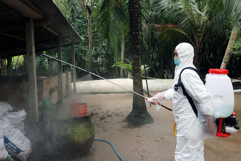 Nhiều địa phương phát sinh thêm ổ dịch tả lợn châu Phi nhieu dia phuong phat sinh them o dich ta lon chau phi