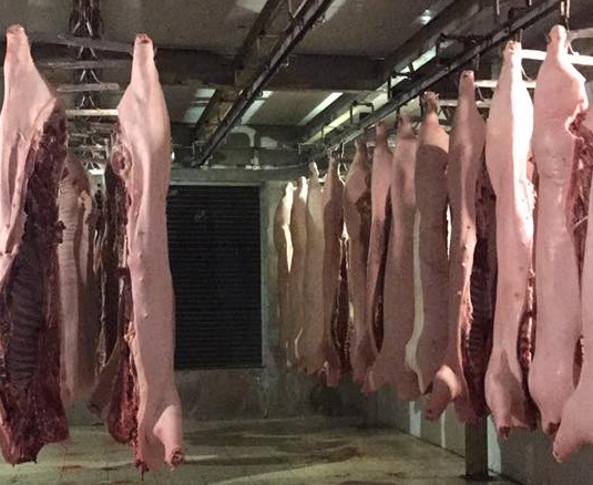 Chống Dịch tả lợn Châu Phi bằng an toàn sinh học chong dich ta lon chau phi bang an toan sinh hoc