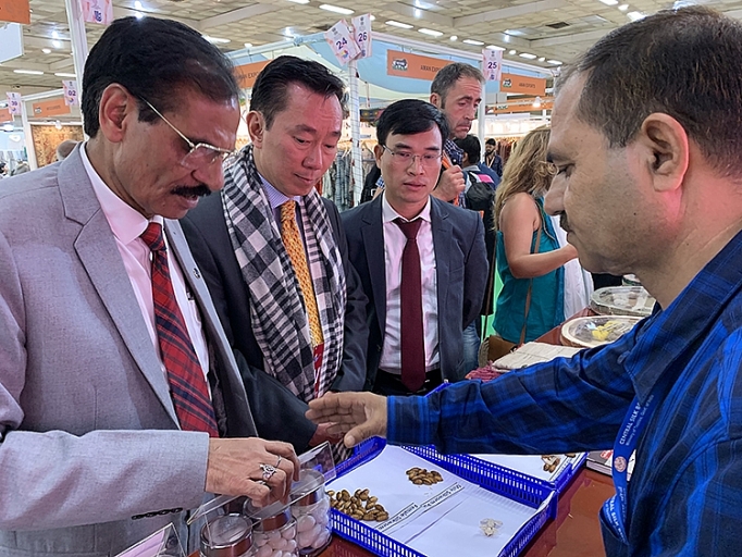 Việt Nam tham dự Hội chợ lụa quốc tế tại Ấn Độ viet nam tham du hoi cho lua quoc te tai an do