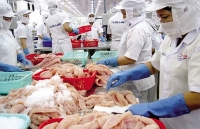 Thực thi CPTPP và EVFTA: Kỳ vọng tăng sức bật cho xuất khẩu thủy sản