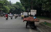 Hoa quả bán rong: Có thực