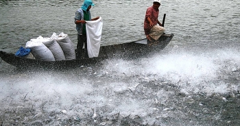 Giá nguyên liệu tăng sức cạnh tranh của thuỷ sản giảm