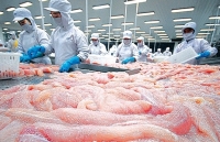 Xuất khẩu cá tra vào thị trường Mỹ: Cần thực hiện đúng cam kết về chất lượng