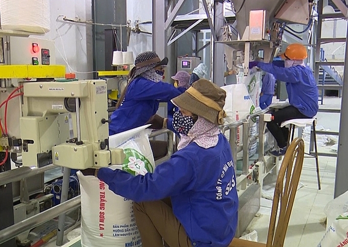 tai co cau toan dien nganh mia duong