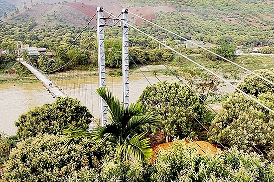 Sơn La: Phấn đấu xuất khẩu 10 tấn nhãn Sông Mã phan dau xuat khau 10 tan nhan song ma