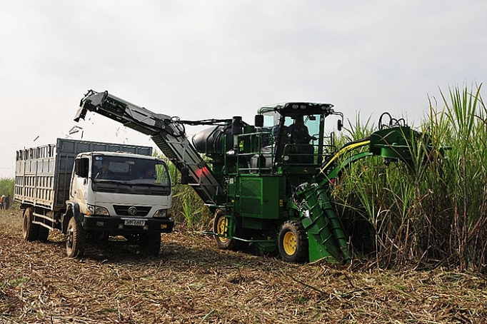 tai co cau toan dien nganh mia duong 107784