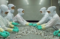Việt Nam thúc đẩy hợp tác với Ethiopia và Ai Cập trên nhiều lĩnh vực