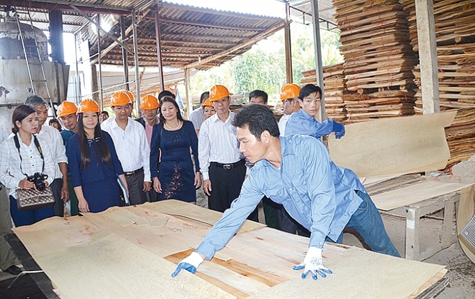 Đổi thay trên chiến khu xưa doi thay tren chien khu xua