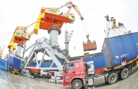 Xuất nhập khẩu- Thành quả nhờ cải cách thể chế 