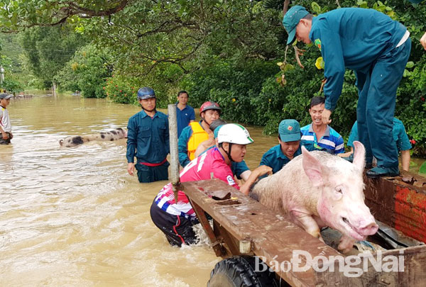 cac dia phuong no luc khac phuc hau qua mua lon