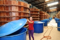 Trị giá xuất khẩu nước mắm mới đạt bình quân trên 25 triệu USD mỗi năm